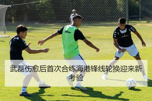 武磊伤愈后首次合练海港锋线轮换迎来新考验